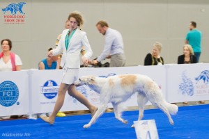 IMG 4423           